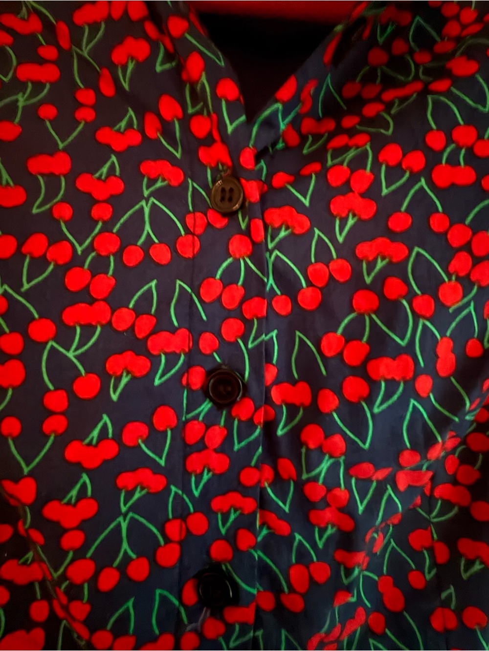 A-Line Cherry Print Button-Front dress in Navy and Red